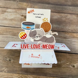 Carte d'anniversaire pop-up sur le thème des chats avec boîte 3D l Chat avec pâtée, jouet et pelote de laine l Anniversaire chat fantastique l Se plie à plat pour l'envoyer par la poste