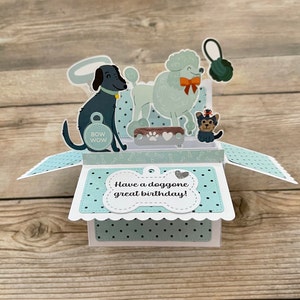 3D-doos pop-up verjaardagskaart l hond woordspeling thema l heb een geweldige verjaardag l blauwe poedel yorkie l gratis verzending in de VS