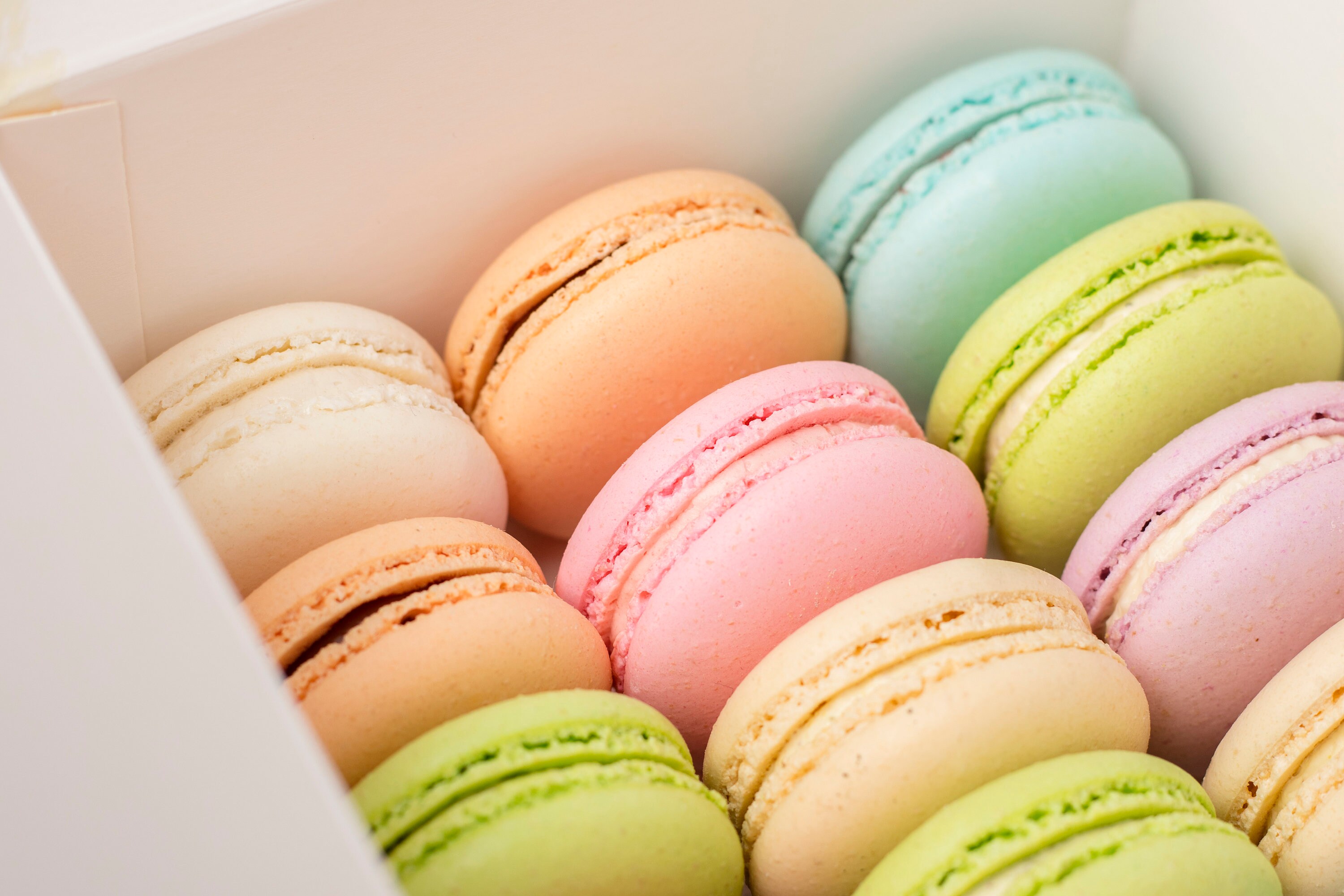 20 Delicious French Macarons Pastel Colors You Choose Color Etsy
