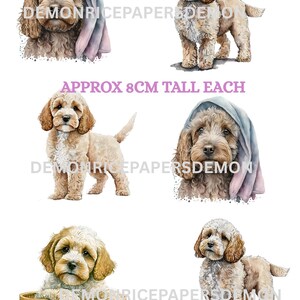 May include: Watercolor illustrations of Cavapoo/Cockapoo dogs in various poses. One dog is wrapped in a blue and pink towel, another is in a basket, and others are standing. Each dog is approximately 8cm tall.