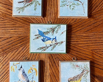 Vintage Bird Painting on Wood - Cute Wall Hanging, Individually Priced - Signed C. Pruitt Robin Tuffed Titmouse Blue Jay Warbler Chickadee