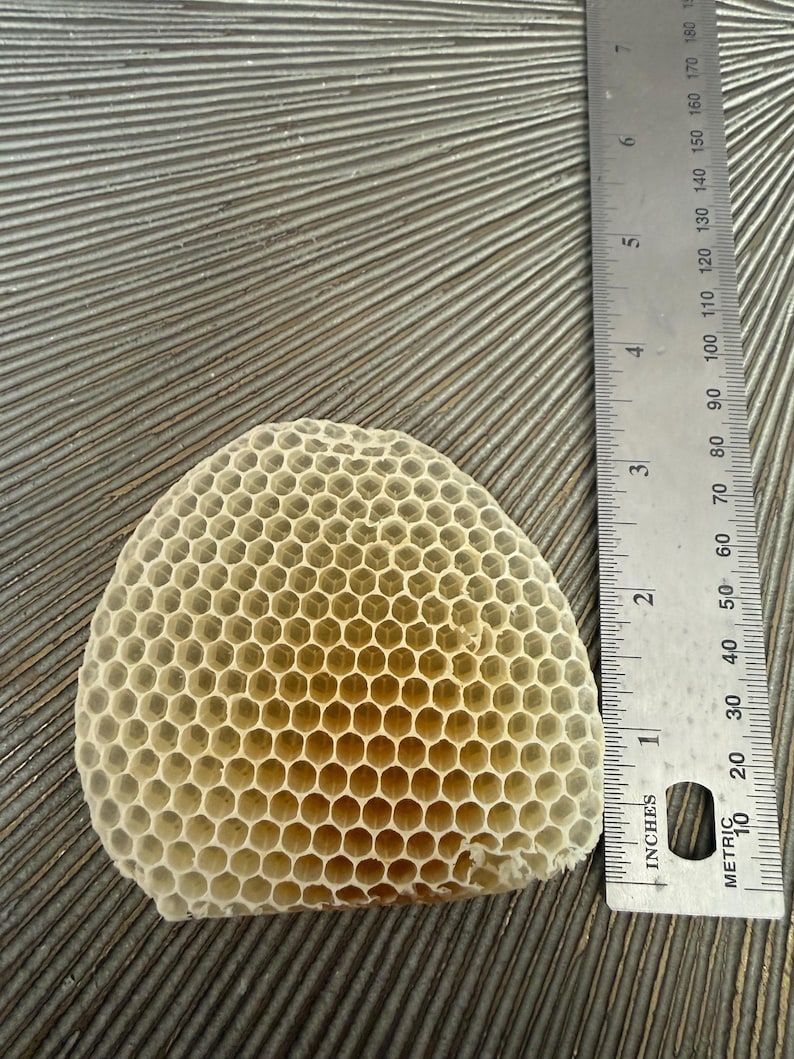 May include: A piece of natural, off-white honeycomb with a hexagonal cell structure positioned next to a metal ruler. The ruler shows the honeycomb measures approximately 3.5 inches in width and 3 inches in height, displaying clear detail.