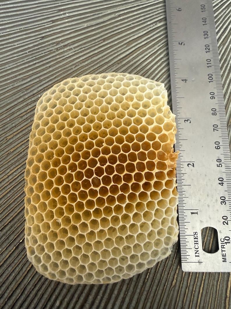 May include: A natural beeswax honeycomb section with a hexagonal cell structure, positioned next to a metal ruler showing a length of approximately 3.5 inches. The honeycomb is light tan and cream in color with visible open cells.