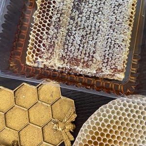 May include: A clear plastic container holds a large section of honeycomb, showcasing its intricate hexagonal pattern. A gold-colored, hexagonal coaster with two bee figures is next to a piece of honeycomb. The image highlights the natural beauty of honey.