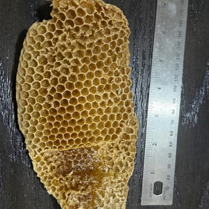 May include: A piece of natural honeycomb with hexagonal cells, partially filled with golden honey. A metal ruler is placed alongside, showing the honeycomb measures approximately 8 inches in length and 4 inches in width at its widest point.