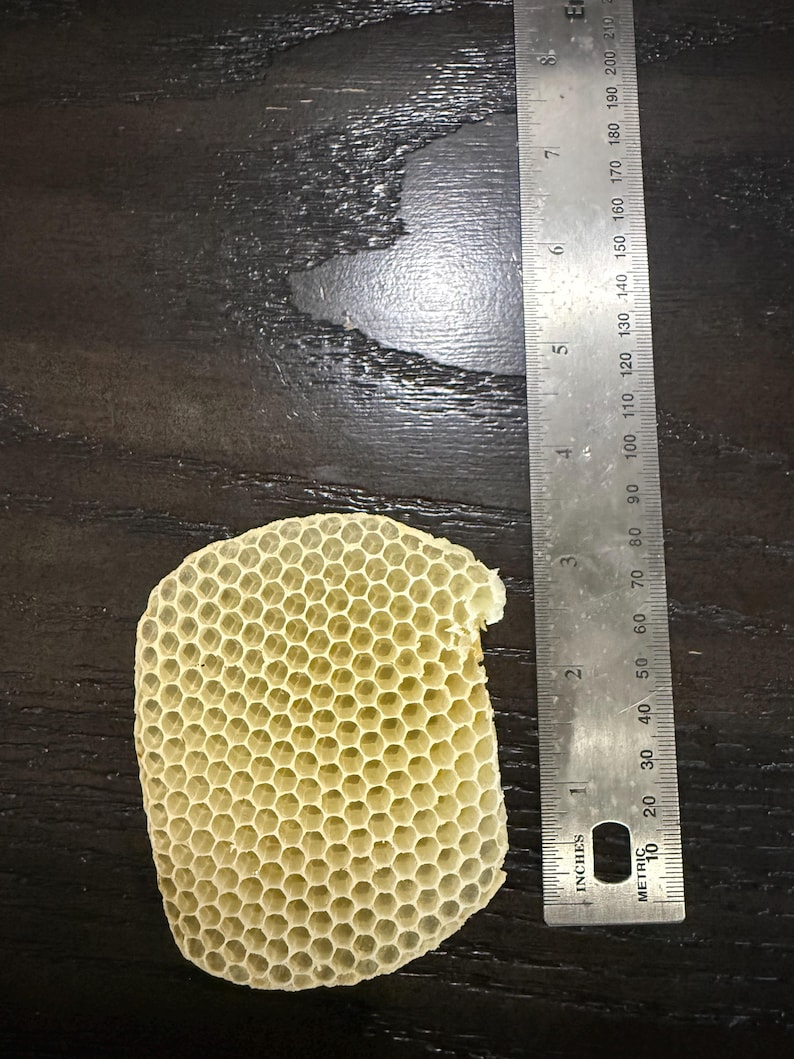 May include: A light yellow, hexagonal honeycomb section positioned next to a metal ruler. The ruler shows the honeycomb piece measures approximately 3.5 inches in height and 2.5 inches in width, displaying a clear, repeating geometric pattern.