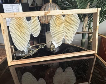 Natural Beeswax Honeycomb Frame – Rustic Home Decor, Beekeeping Display, Organic Wax Wall Art