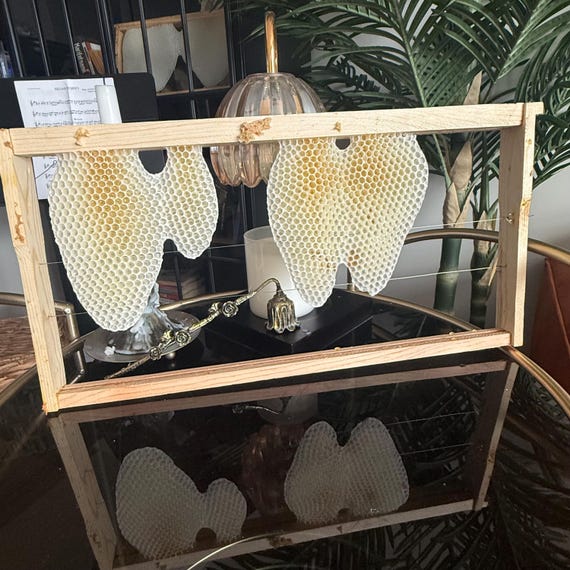 Natural Beeswax Honeycomb Frame – Rustic Home Decor, Beekeeping Display, Organic Wax Wall Art
