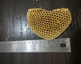 Raw Honeycomb Piece, Extra Large 7-8 inch, Beekeeping Decor, Farmhouse Natural Home Decor