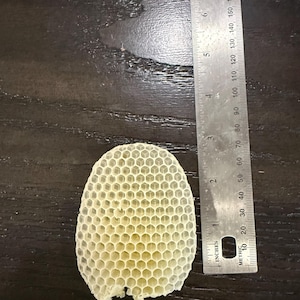 May include: A pale yellow, oval-shaped piece of natural honeycomb with a distinct hexagonal cell pattern. A metal ruler is positioned vertically next to the honeycomb, showing it measures approximately 3.5 inches in total length.