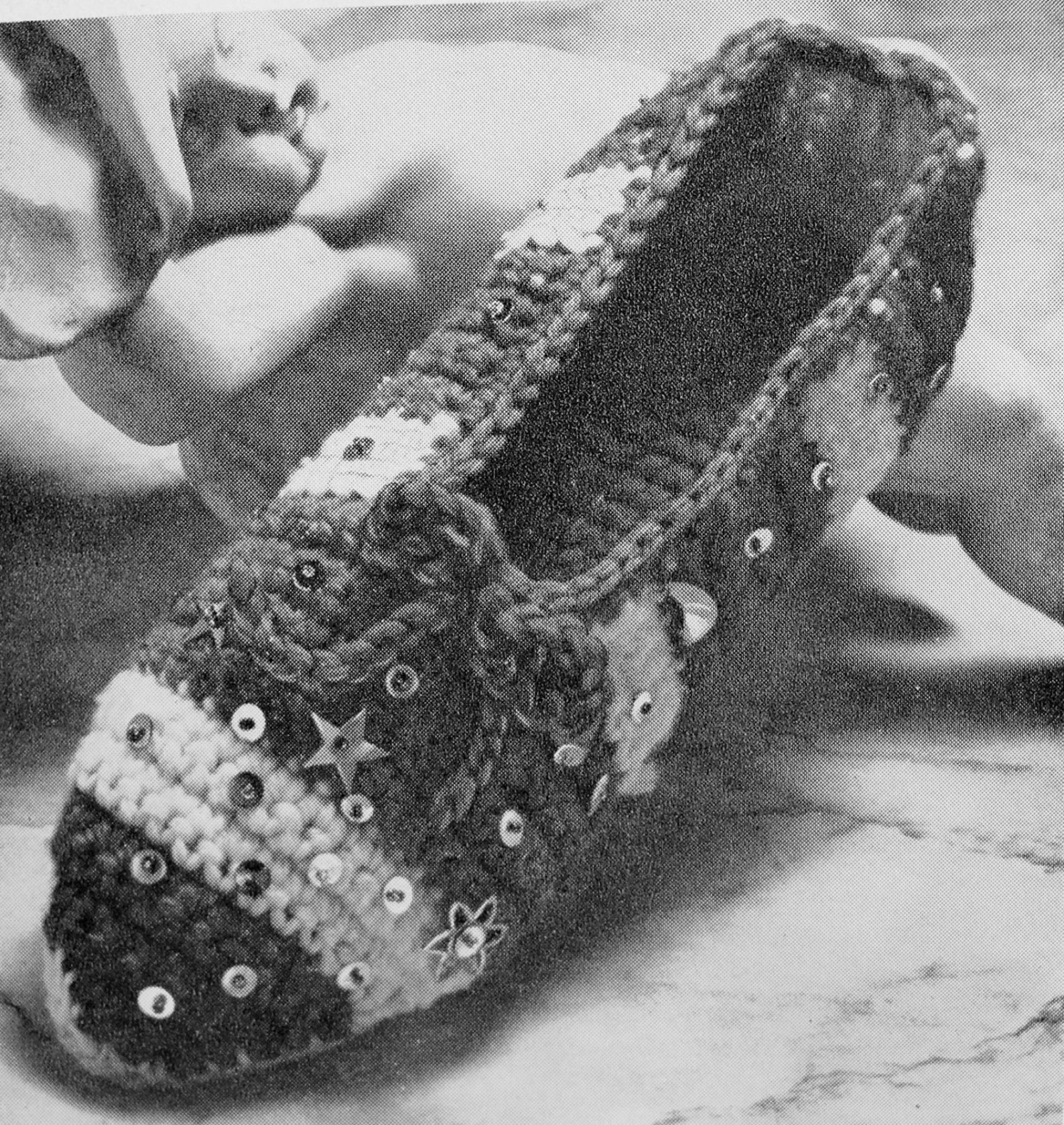 instant pdf vintage crochet pattern 1960 party slippers ballet flats shoes crocheted fun shoes to make