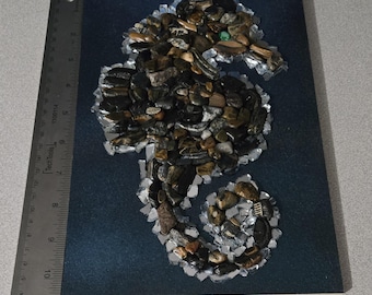 Caballito de mar con hermosas conchas de piedra marrón. Fondo espejado. Un regalo estupendo.