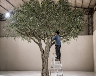 20ft Tall Realistic Green Olive Tree | Giant Artificial Indoor Tree | ModTree™ Flagship Collection