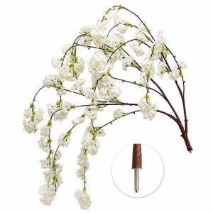 May include: A long, arching branch featuring numerous small, white blossoms and light green leaves attached to a dark brown, textured stem. A circular inset shows a close-up of the brown, tapered base of the branch with a metal connector.