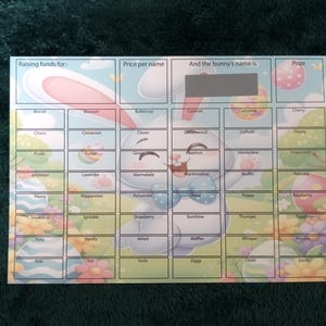 Op de afbeelding: Een kleurrijk paas-fondsenwervingsbord met een konijnenillustratie. Het bord heeft secties voor namen, prijzen en fondsenwervingsdetails. De achtergrond heeft pastelkleuren en bloemmotieven, met tekst als "Raising funds for:" en "Price per name."