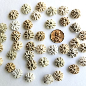 40 Neutral Beige Prints Tiny 1/2 inch Fabric Yo Yos Applique Quilt Pieces Yoyo Scrapbooking Journal Embellishments