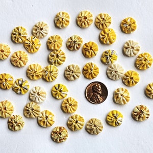 May include: A collection of 30 yellow and white fabric flower embellishments. The embellishments are arranged in a circle on a white surface.