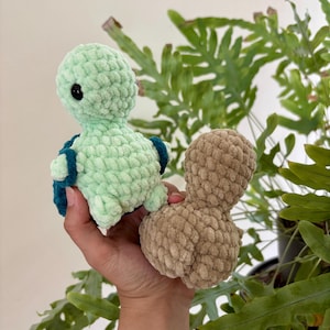 Crochet Cheeky Turtle Plushie, Handmade & Soft, Cute and Funny Turtle with Butt Amigurumi