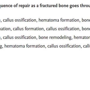 May include: A multiple-choice question on a white background asks about the correct sequence of bone repair after a fracture. The options are listed with lettered choices. The answer is indicated with the letter "B" below the question.