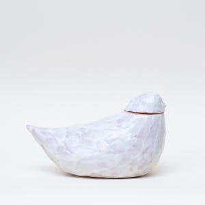 white dove vessel
