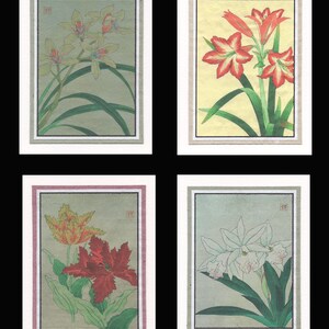 4 Blank Note Cards Of Botanicals by Shodo gcfs007
