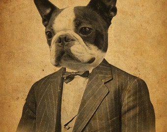 Boston Terrier Art  - Boston Terrier Art Print - Dog in a Suit - 8x10 Print