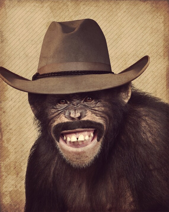 Monkey Hat Monkey Art Lenny the Wild 