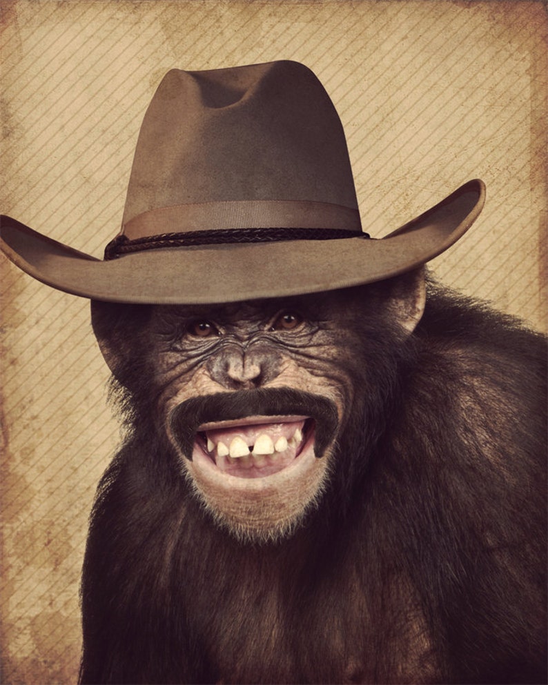 Monkey Hat Monkey Art Lenny the Wild West Monkey Wood Etsy