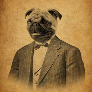Pug Art Pug in a Suit Dog in a Suit 8x10 Art Print image 1