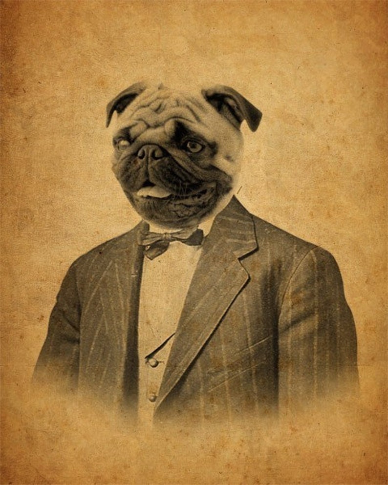 Pug Art Pug in a Suit Dog in a Suit 8x10 Art Print image 1