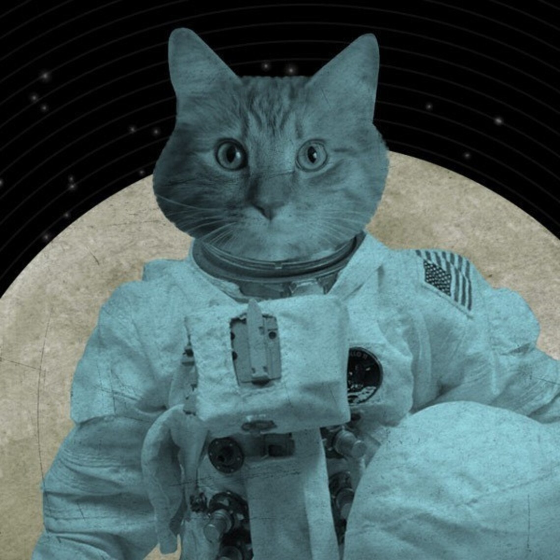 cat astronaut squishmallow