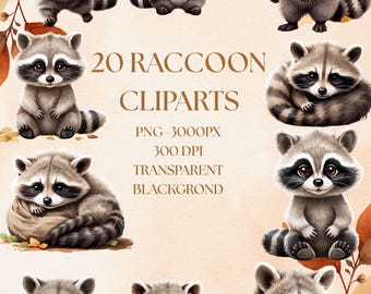 Raccoon Clipart Bundle | 20 PNG Forest Animals (Digital Download)
