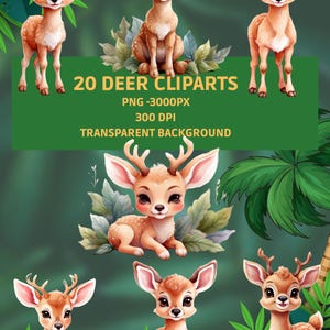 Deer Forest Clipart Pack – 20 PNG | 300 DPI | Transparent | Baby Shower Woodland Animal Illustration