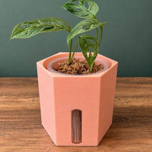 Hexagonal Semi-Hydro Plant Pot – 3D Printed Planter with Water Level Window