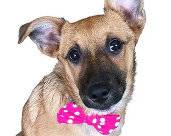 Pink Polka Dog + Cat Bow Tie (slides onto pet's existing collar) - made with Elastic Closure