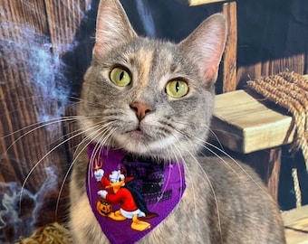 Peut inclure: Un chat tabby gris et brun portant un bandana violet avec un personnage de dessin animé. Le bandana a un motif noir et blanc et une citrouille. Le chat est assis sur une surface brune avec du foin.