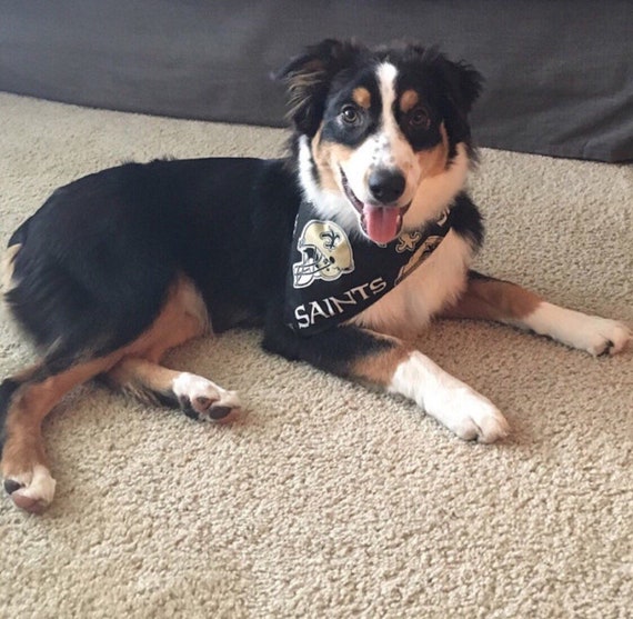 Saints dog bandana Clearance
