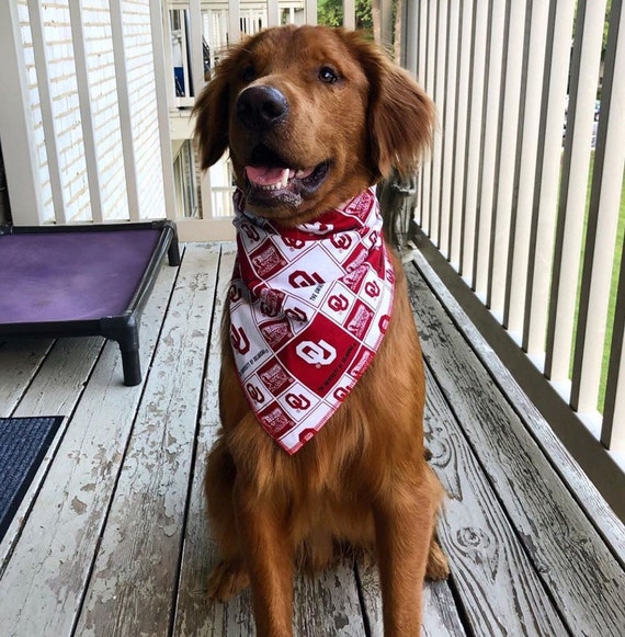 Ou sooners hotsell dog jersey