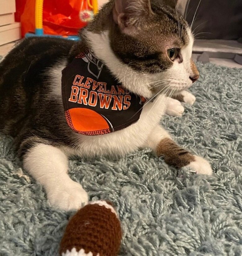 Cleveland Browns Cat Pet Collar