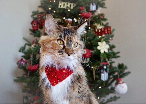 Cat christmas bandana Clearance