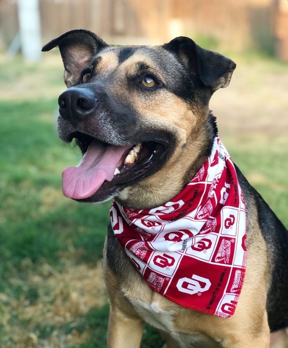 extra large dog crate dimensions