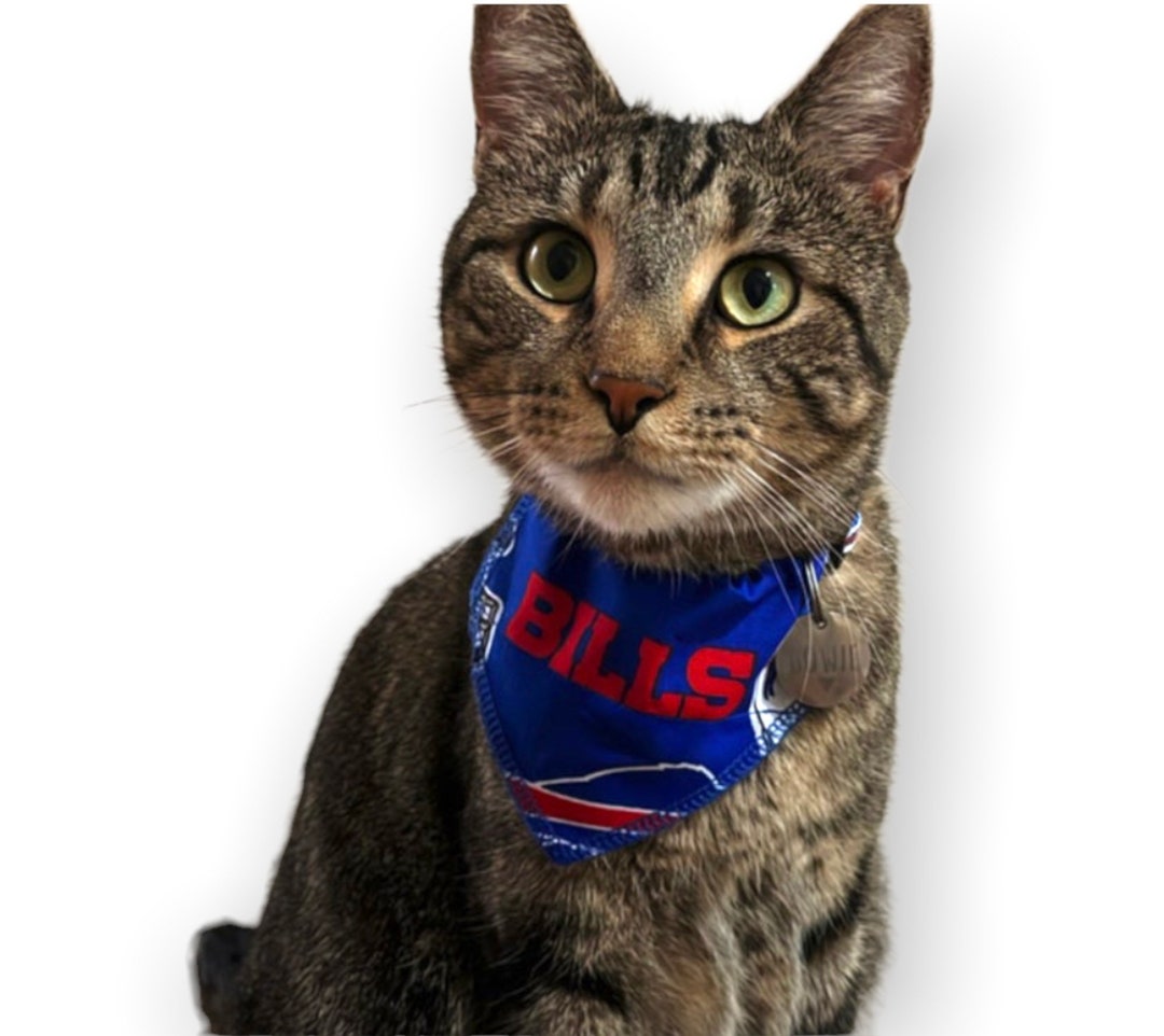 Buffalo Bills Cat Bandana slides Onto Cats Existing Collar - Etsy