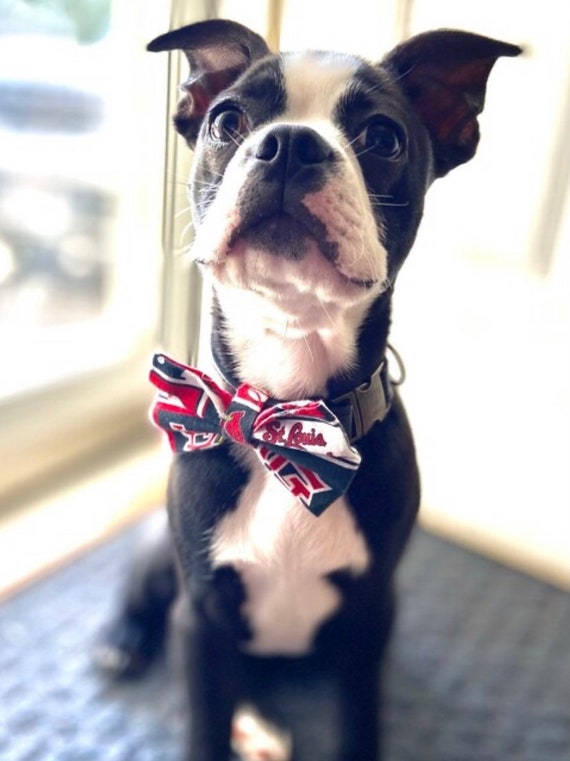 St. Louis Cardinals Dog Cat Bow Tie slides Onto Pet's 