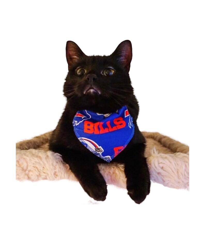 Buffalo Bills Cat Bandana slides Onto Cats Existing Collar - Etsy