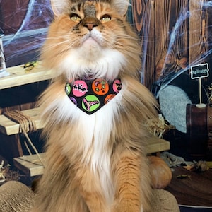 Halloween Dots Cat Collar Bandana (slides onto cat&#39;s existing collar)