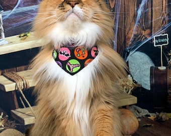 Peut inclure: Un chat à poils longs avec une fourrure brune, noire et blanche portant un bandana noir et rose sur le thème d'Halloween avec des chauves-souris, des citrouilles et des étoiles. Le chat est assis sur une surface brune et regarde vers le haut.
