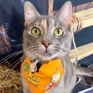 Peanuts Gang Halloween Cat Collar Bandana (slides onto cat&#39;s existing collar)