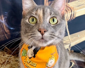 Peut inclure: Un chat gris et brun tigré portant un bandana orange avec un motif de personnage de dessin animé et le texte "I want candy!"