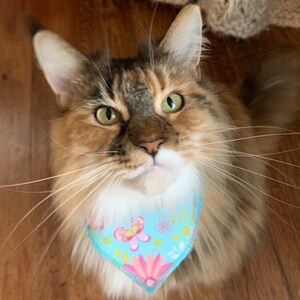 Rosy Teal Cat Collar Bandana (slides onto cat&#39;s existing collar) Cat Name Bandana - Floral Cat Bandanna
