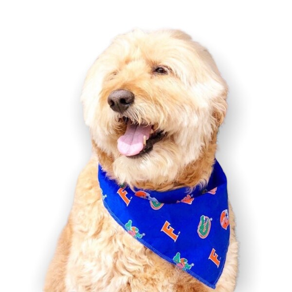 Florida Gators Pet Bandanna Size L Reversible Logo Print main image 1